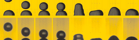 course photo
